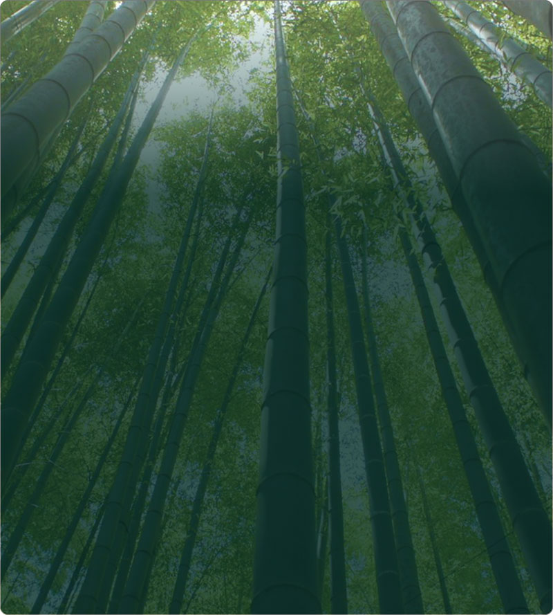 中国·太阳集团tyc86(股份有限公司)-Official website