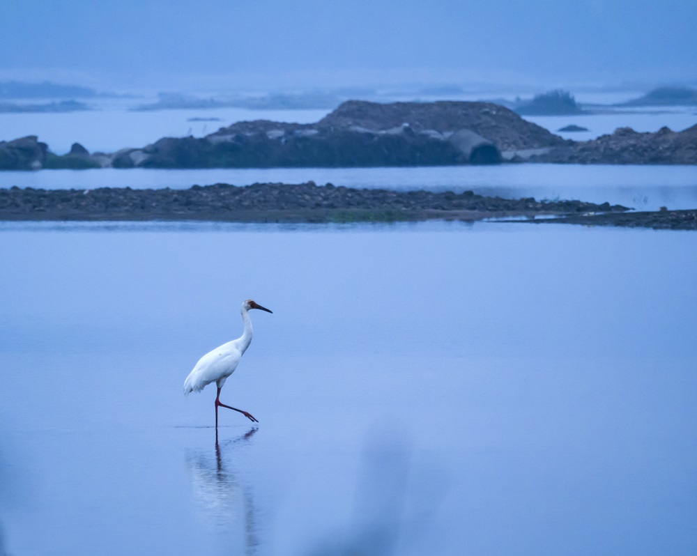 中国·太阳集团tyc86(股份有限公司)-Official website