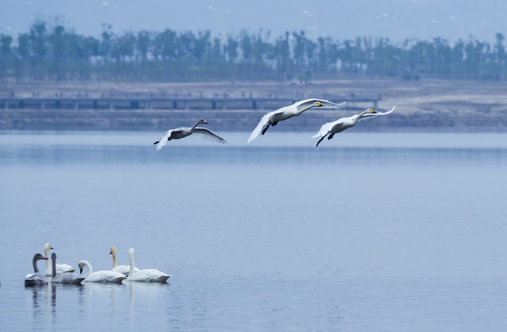 中国·太阳集团tyc86(股份有限公司)-Official website